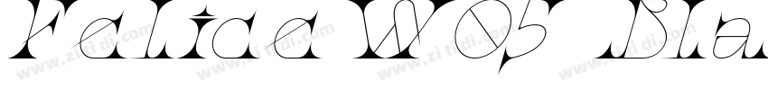 FeliceW05 BlackItali字体转换